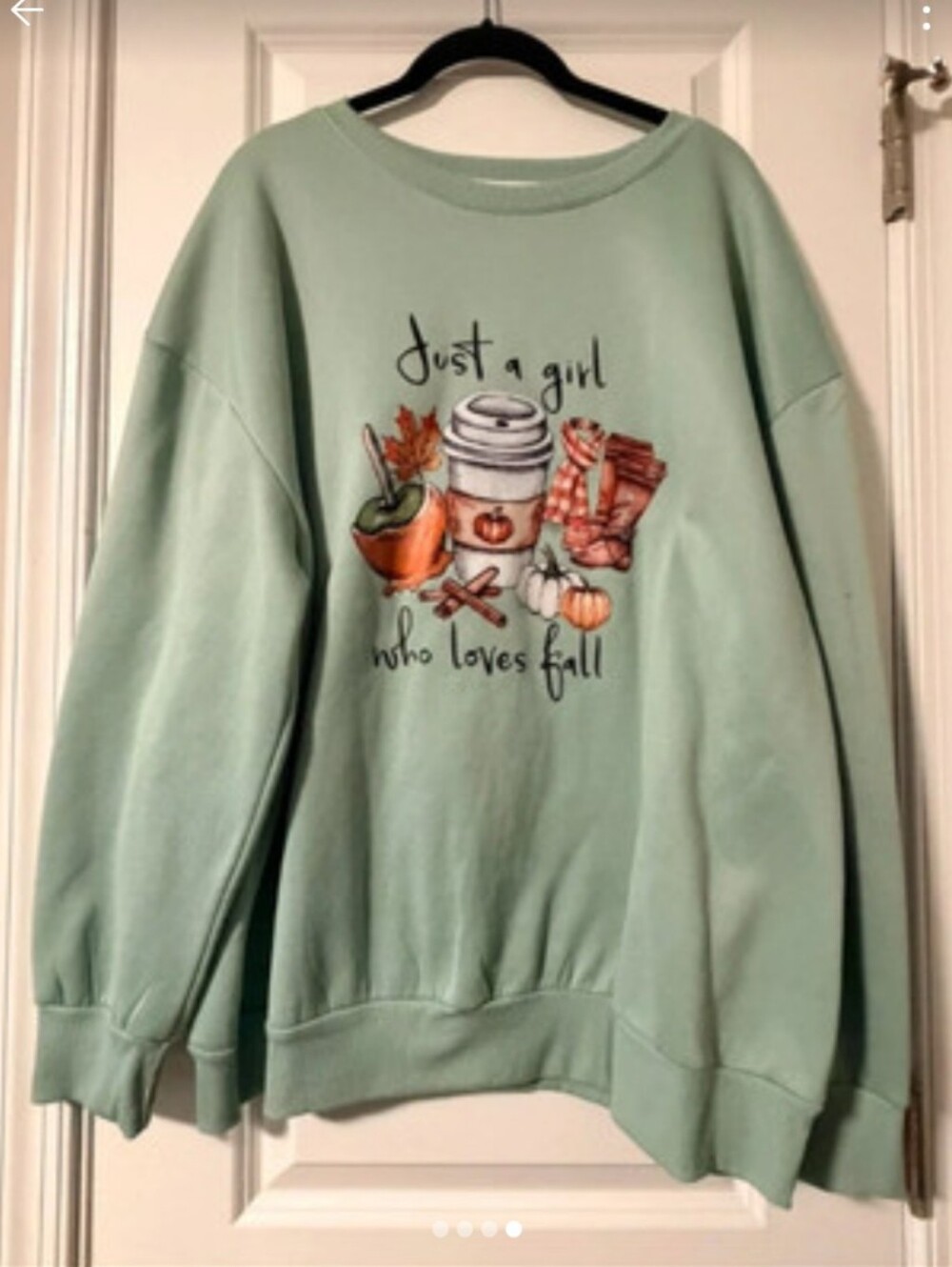 SHEIN Mint Green "Just a Girl Who Loves Fall" Graphic Sweatshirt
